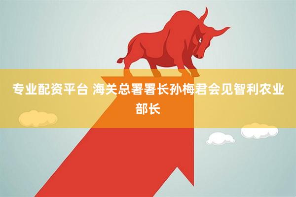 专业配资平台 海关总署署长孙梅君会见智利农业部长