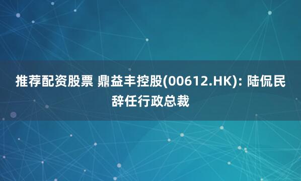 推荐配资股票 鼎益丰控股(00612.HK): 陆侃民辞任行政总裁