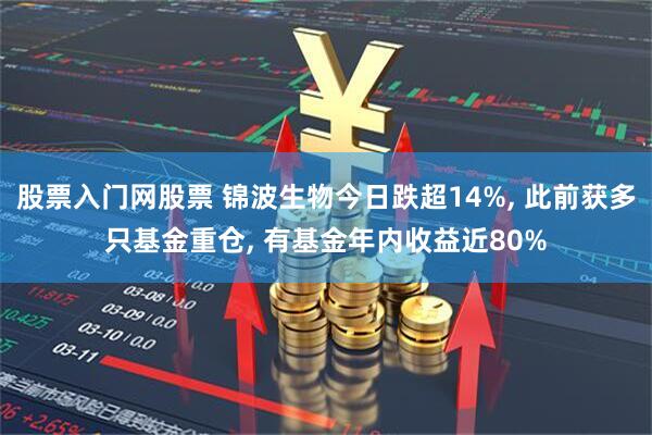 股票入门网股票 锦波生物今日跌超14%, 此前获多只基金重仓, 有基金年内收益近80%
