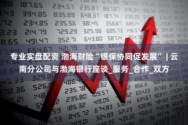 专业实盘配资 渤海财险“银保协同促发展” | 云南分公司与渤海银行座谈_服务_合作_双方