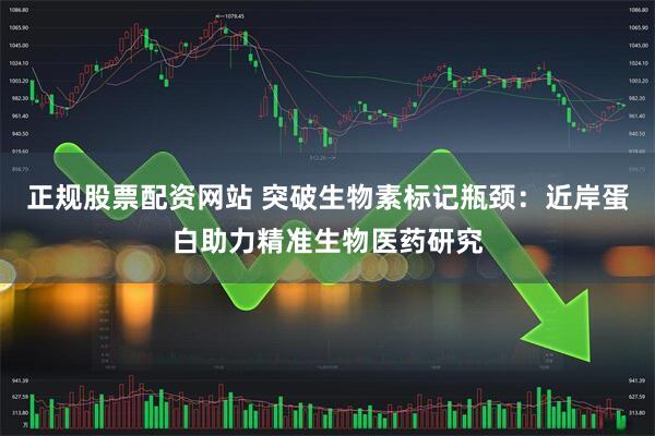 正规股票配资网站 突破生物素标记瓶颈：近岸蛋白助力精准生物医药研究