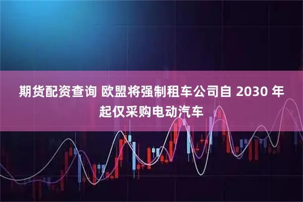 期货配资查询 欧盟将强制租车公司自 2030 年起仅采购电动汽车